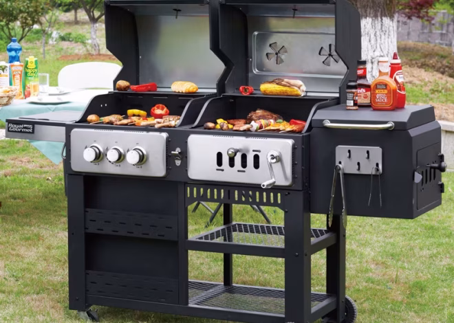Best German BBQ grills