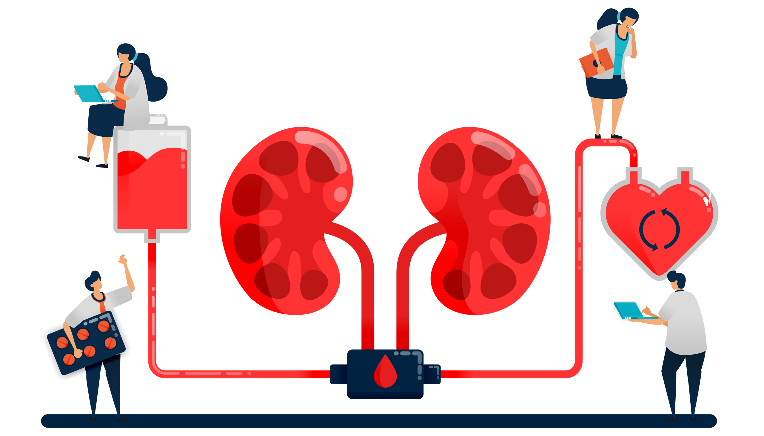 Organ Donation Laws – Donor Consent Allocation and Transplant Requirements